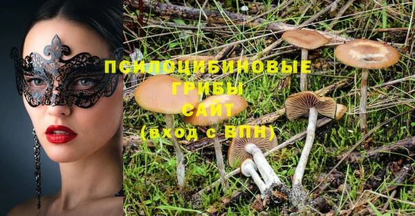 2c-b Нягань