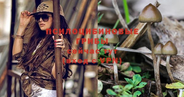 мет Новодвинск