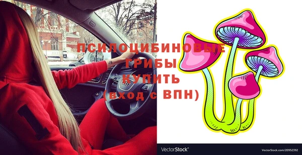 стаф Няндома