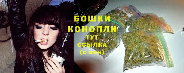 стаф Няндома