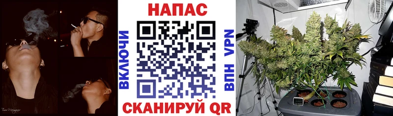 закладка  Северская  Канабис марихуана 
